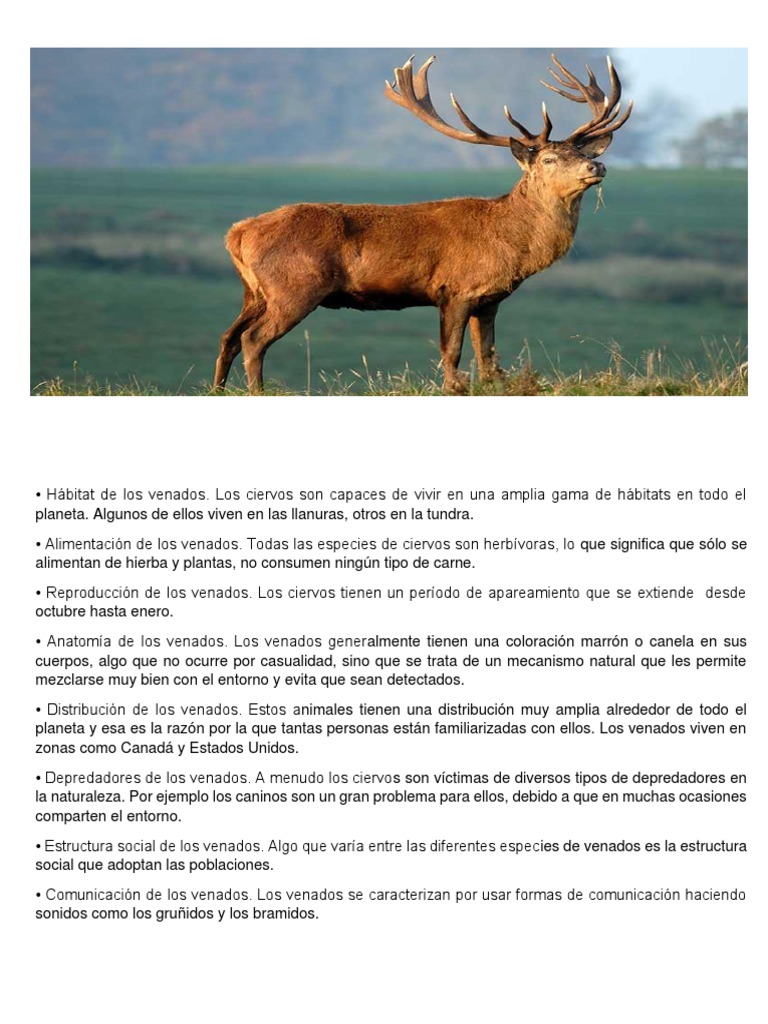 Hábitat de Los Venados PDF