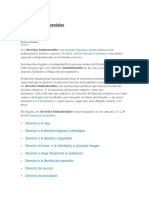 Derechos Fundamentales