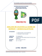 Proyecto de La Goma