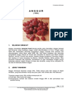 Anggur PDF