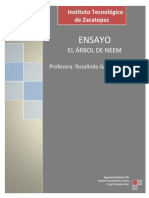 Ensayo - Árbol de Neem