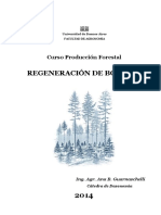 Ayuda didáctica 2014. Sistemas de Regeneración de Bosques.docx