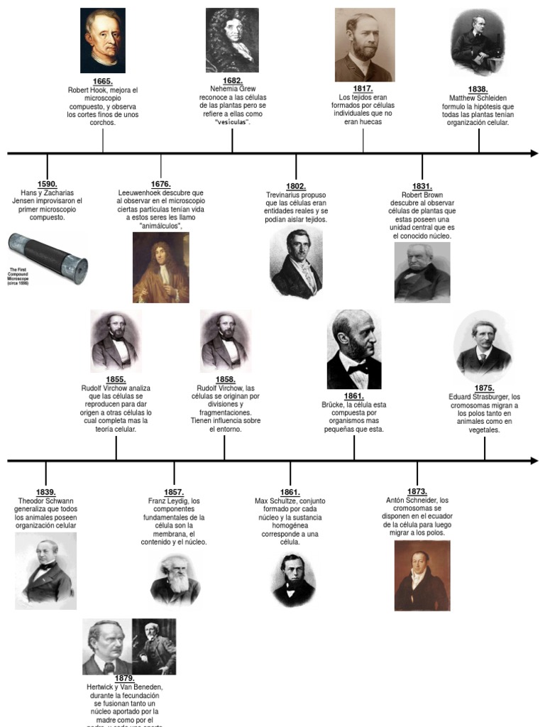 Teoria celular linea del tiempo_teoria_online