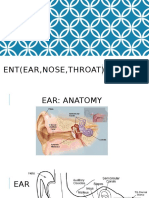 Ent (Ear, Nose, Throat)