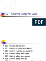 12+Kontrol+ekspresi+gen