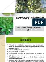 Terpenos e Iridoides