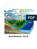 Biochemical Cycle