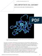 ¿La Proteína Más Importante Del Genoma - Quo