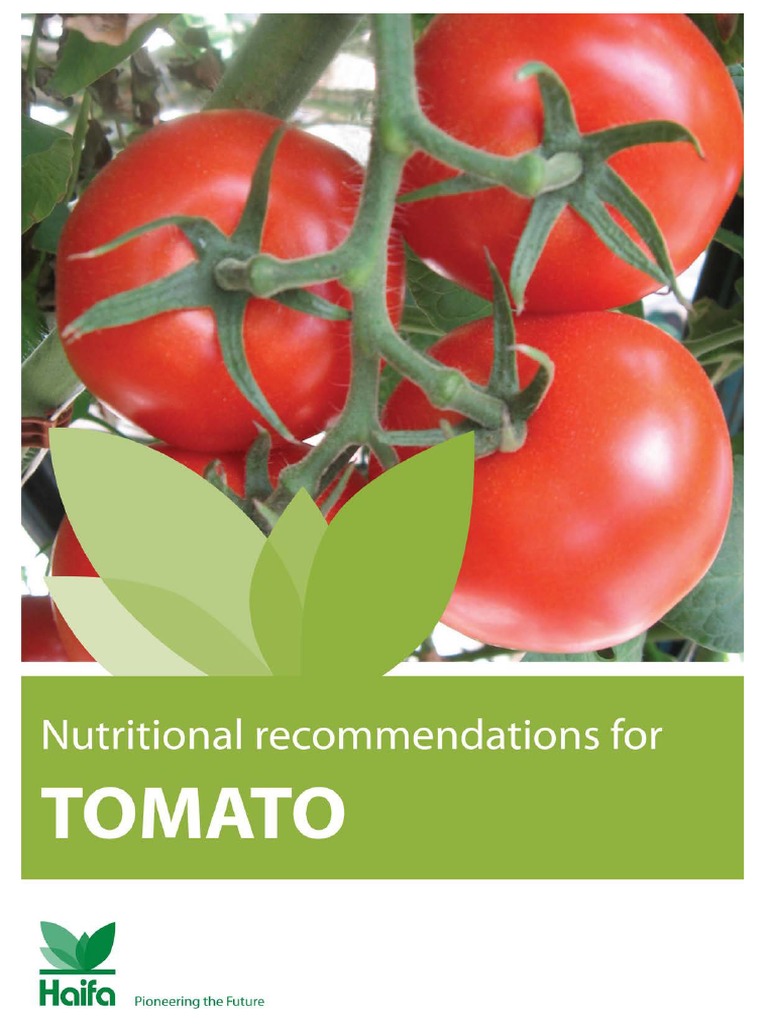 Nutrition for Tomato by HAIFA.pdf
