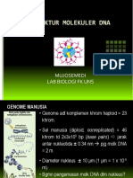 Struktur Molekuler DNA - Pak Mujosemedi.pdf