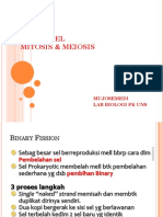 Siklus Sel (Mitosis Dan Meiosis) - Pak Mujosemedi