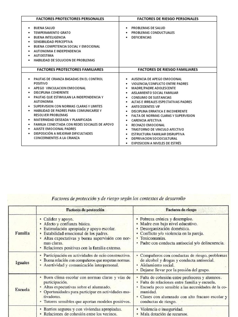 Factores Protectores y de Riesgo en La Familia | PDF