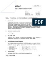 Programa Prevencion Accidentes PDF