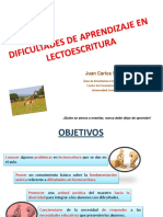 Programas de Refuerzo y Apoyo Educativo en La Escritura PDF