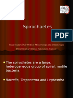 Spirochaetes: Suzan Matar (PHD Medical Microbiology and Immunology) Department of Clinical Laboratory Sciences