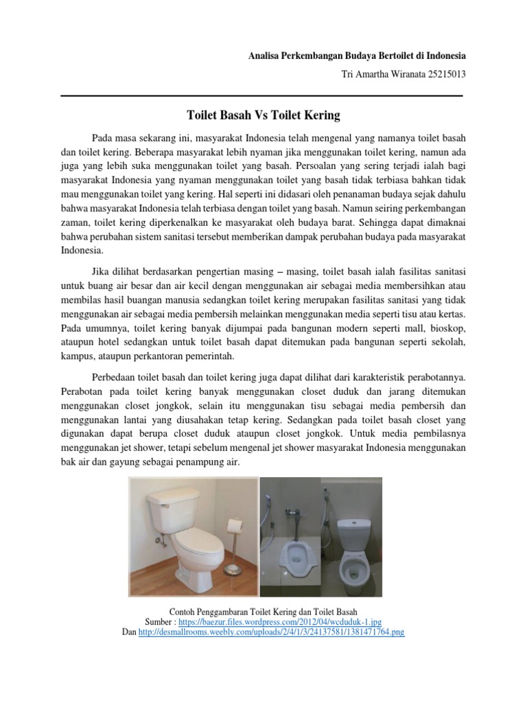 Toilet Basah Vs Toilet Kering | PDF