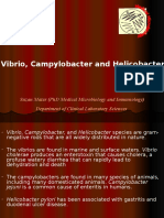 16. Vibrios and Campylobacter (1)