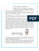 Las Agua de Caldero y Sus Problemas PDF
