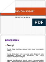 ENERGI DAN KALORI.pptx