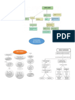 Mapa Conceptual