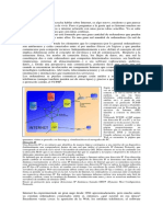 Clase Técnica Sobre Internet