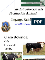 Clase Bovinos