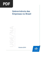 sobrevivencia-das-empresas-no-brasil-relatorio-2016.pdf