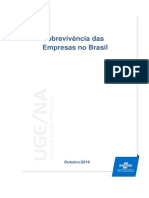 sobrevivencia-das-empresas-no-brasil-relatorio-2016.pdf