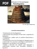 Aula Psicolinguistica