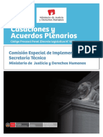 Casaciones y Acuerdos Plenarios.pdf