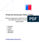 Guia Proteccion Social 2015 Accsesible