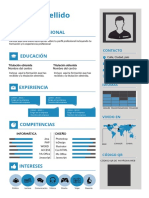 Plantilla Curriculum Vitae 13