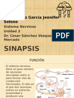 SINAPSIS