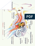Urechea PDF