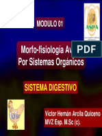 Sistema Digestivo Aviar PDF