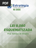 LEI-8080-ESQUEMATIZADA.pdf