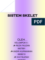1_Sistem_Skelet.pdf