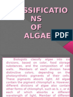 4-Classifications of Algae