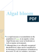 5 Algal Bloom