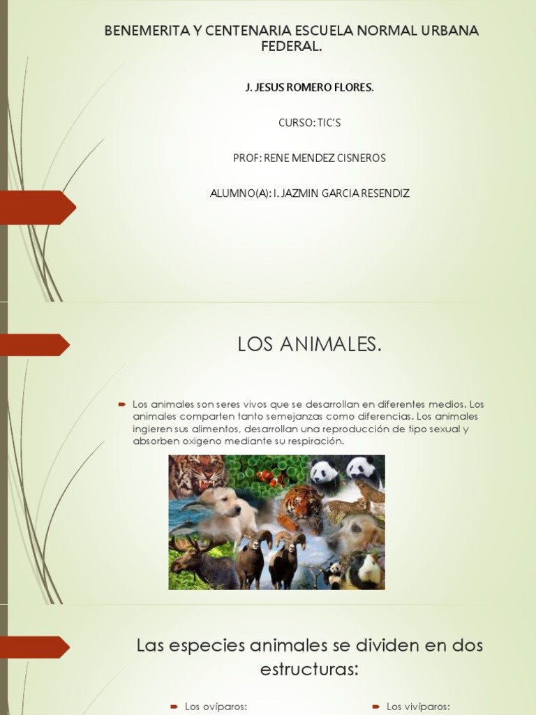 Los Animales | PDF