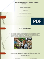 Los Animales