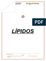 Estructura de Lipidos Quimica 2