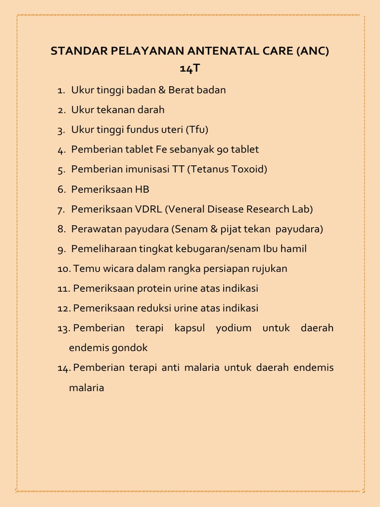 Standar Pelayanan ANC 14T Terbaru | PDF