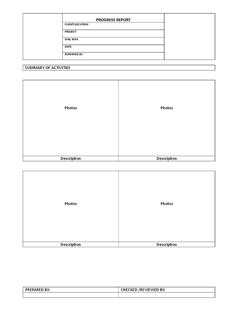 Progress Report Template for Projects | PDF | Business