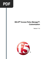 BIG-IP Access Policy Manager Customization