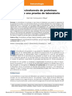Electroforesis de Proteinas PDF