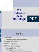 2 2 Morfologia