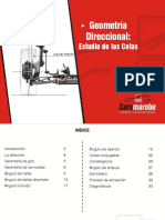 Geometria Direccional PDF