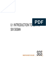 Lean Six Sigma - Intro PDF
