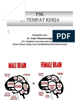 Materi P3K Ditempat Kerja Secara Umum